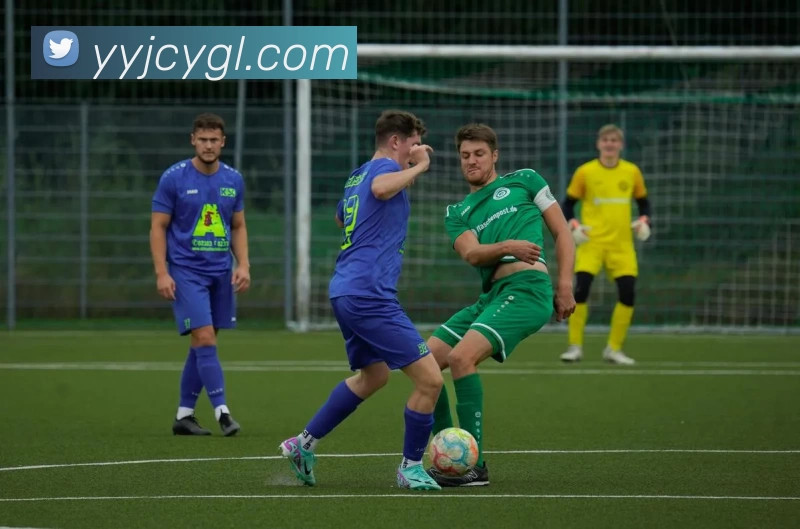 ag九游会APP 体育赛事宣传图